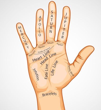 illustration of palmistry map on open palm on abstract background
